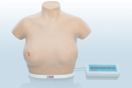 電子乳腺癌觸診、視診訓練模型